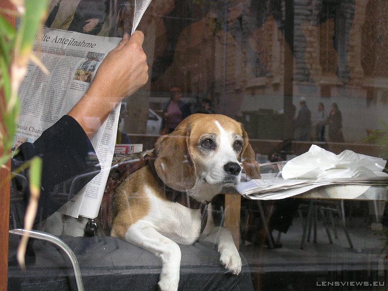 2006_11_21 10_59_30 OLYMPUS DIGITAL CAMERA         